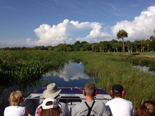 A naturalist-guided safari including an airboat ride in the Western Everglades